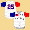 Detroit Tigers 2025 Taiwanese Heritage Jersey Giveaway