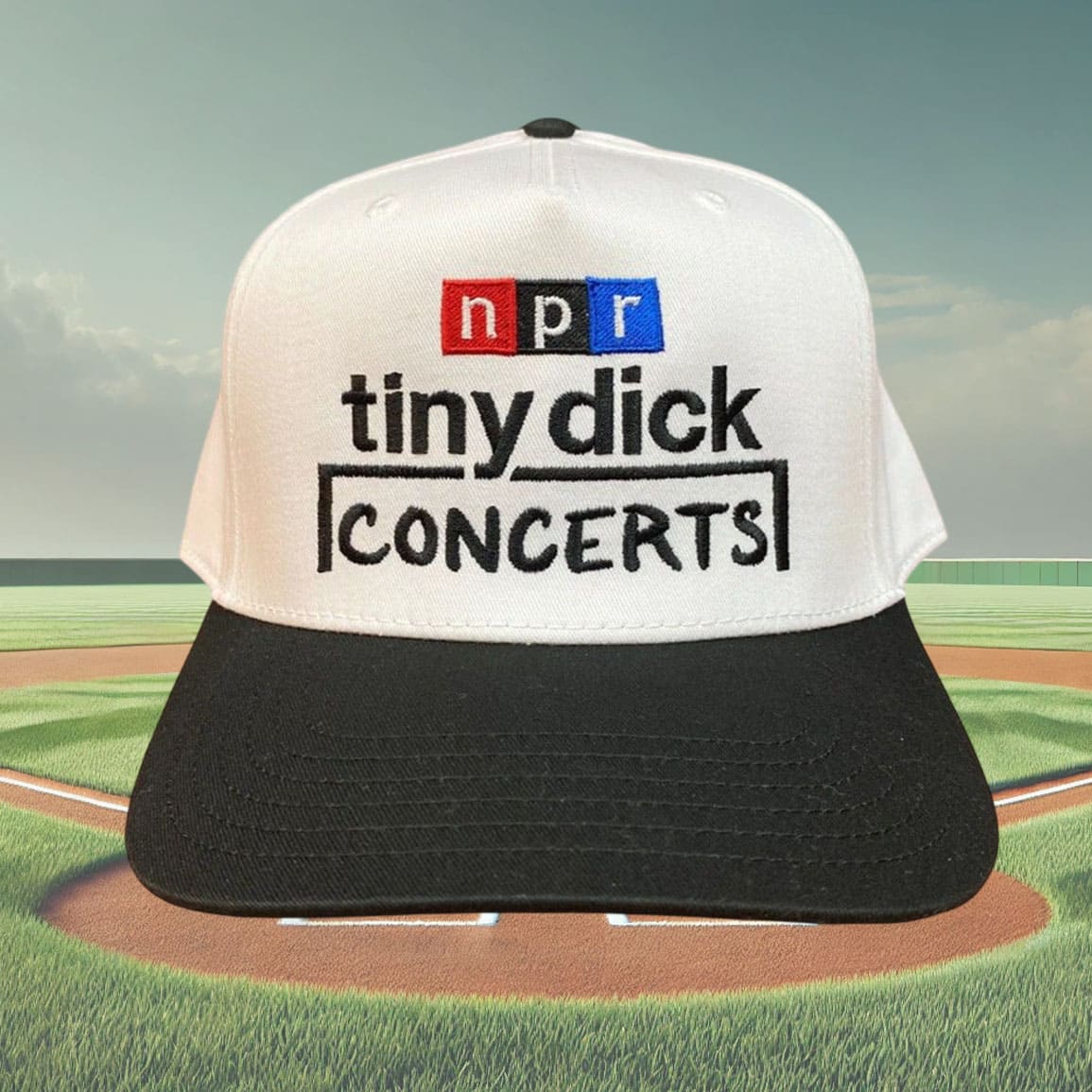 NPR Tiny Dick Concerts Hat NPR Tiny Dick Concerts Hat
